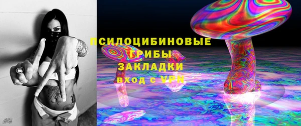гашик Алзамай