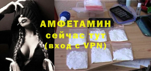 шишки Слюдянка
